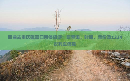 那曲去重庆磁器口团体旅游：票查询、时间、票价及z224次列车信息