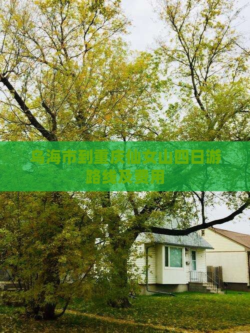 乌海市到重庆仙女山四日游路线及费用