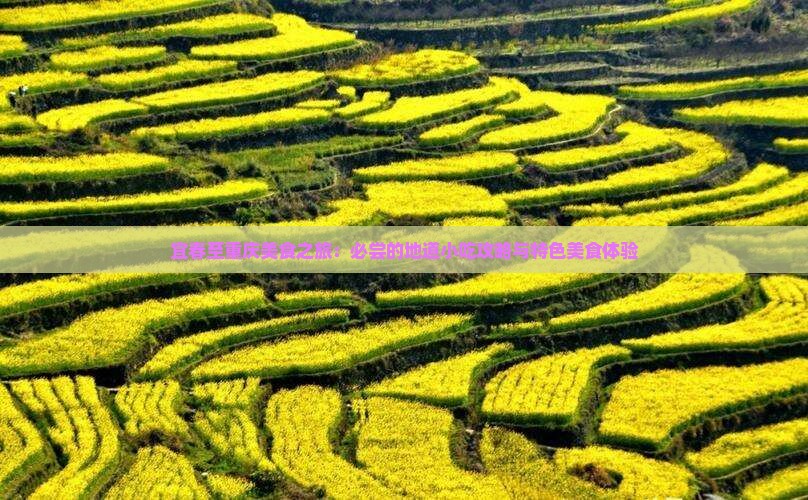 宜春至重庆美食之旅：必尝的地道小吃攻略与特色美食体验