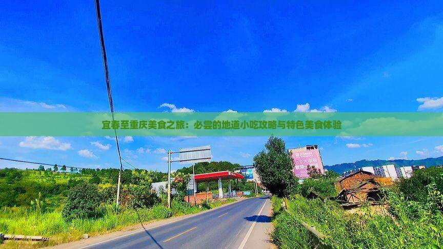 宜春至重庆美食之旅：必尝的地道小吃攻略与特色美食体验