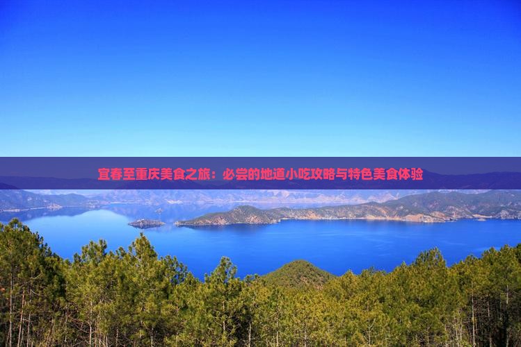 宜春至重庆美食之旅：必尝的地道小吃攻略与特色美食体验