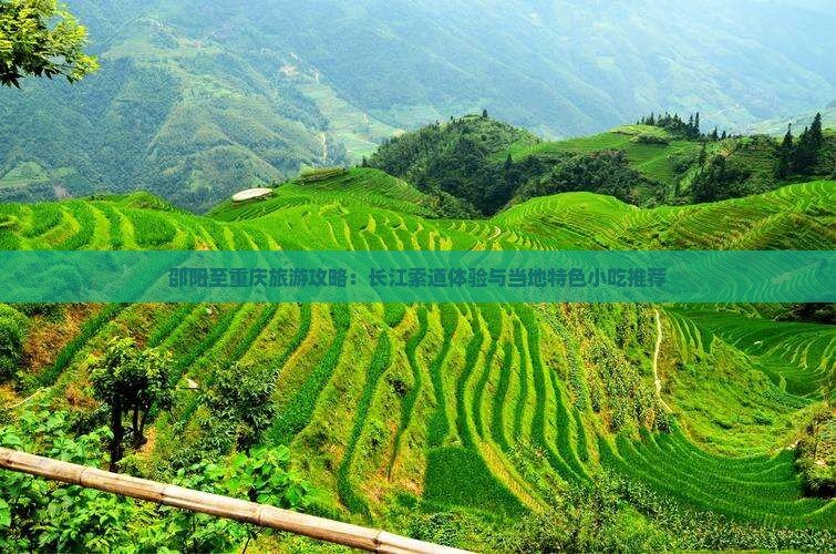 邵阳至重庆旅游攻略：长江索道体验与当地特色小吃推荐