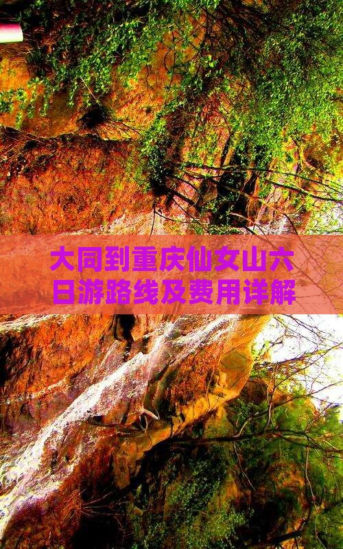 大同到重庆仙女山六日游路线及费用详解