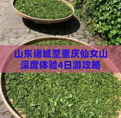 山东诸城至重庆仙女山深度体验4日游攻略