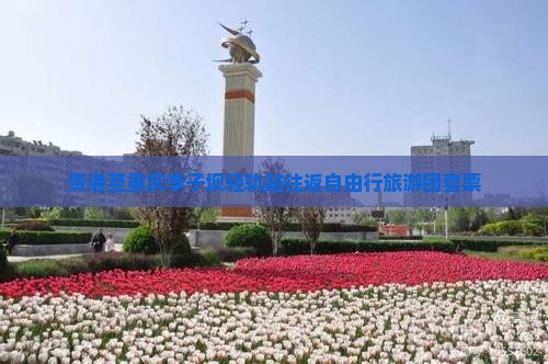 贵港至重庆李子坝轻轨站往返自由行旅游团套票