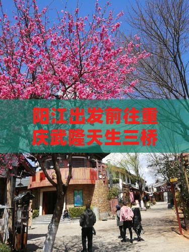 阳江出发前往重庆武隆天生三桥自由行旅游团