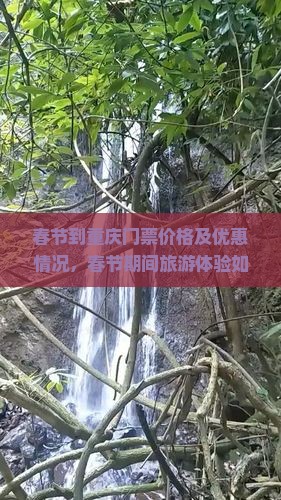 春节到重庆门票价格及优惠情况，春节期间旅游体验如何？