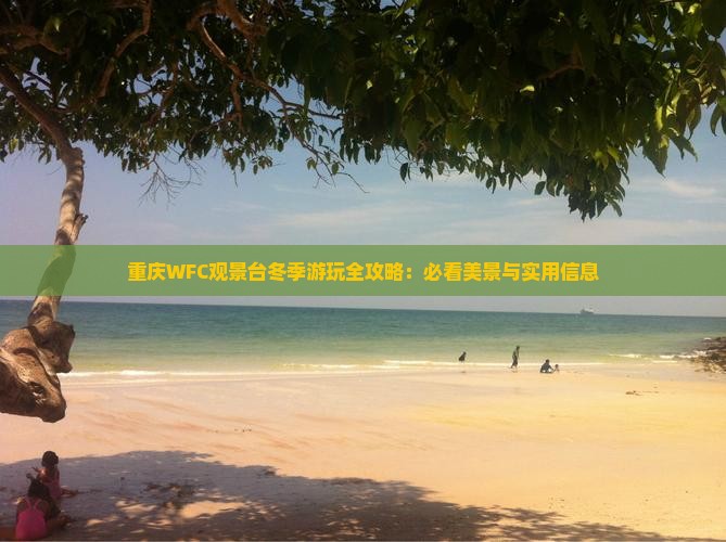 重庆WFC观景台冬季游玩全攻略：必看美景与实用信息