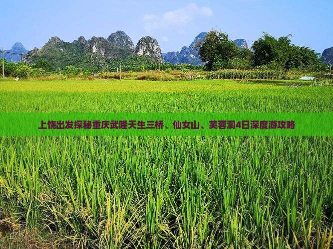 上饶出发探秘重庆武隆天生三桥、仙女山、芙蓉洞4日深度游攻略