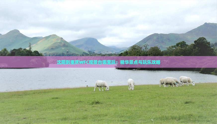 沈阳到重庆WFC观景台哪里玩：精华景点与玩乐攻略