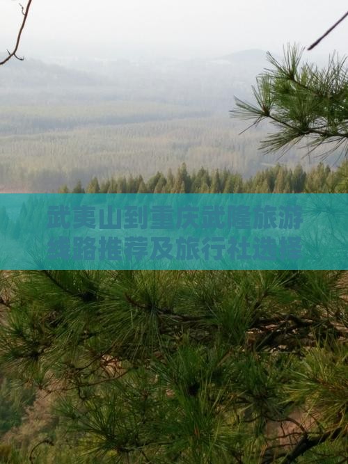 武夷山到重庆武隆旅游线路推荐及旅行社选择