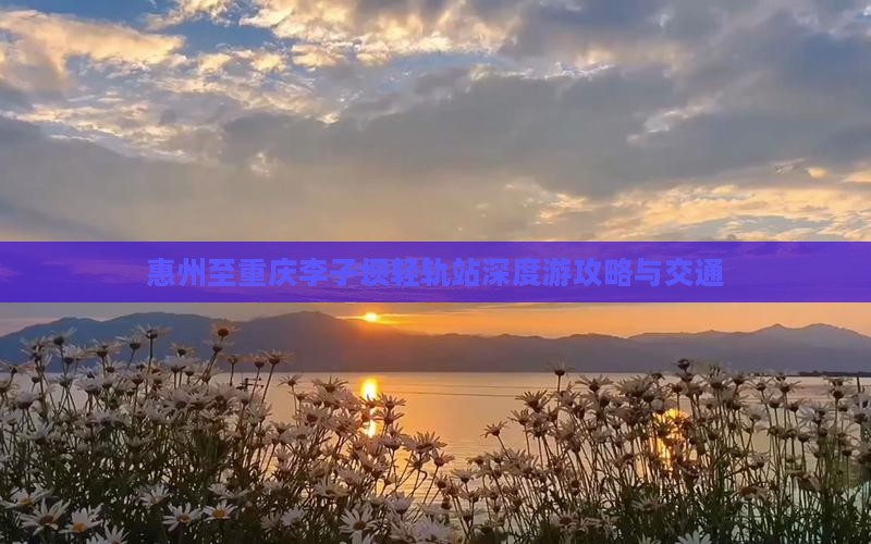 惠州至重庆李子坝轻轨站深度游攻略与交通