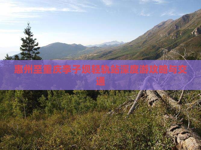 惠州至重庆李子坝轻轨站深度游攻略与交通