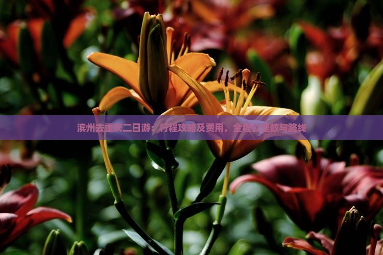 滨州去重庆二日游：行程攻略及费用，全程公里数与路线
