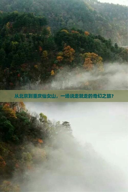 北京去重庆仙女山大型旅游团