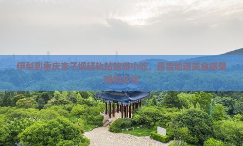 伊犁到重庆李子坝轻轨站旅游小吃