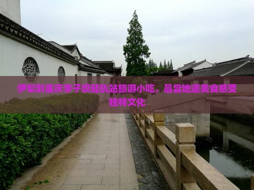 伊犁到重庆李子坝轻轨站旅游小吃