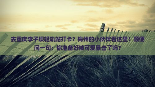 梅州去重庆李子坝轻轨站哪里玩