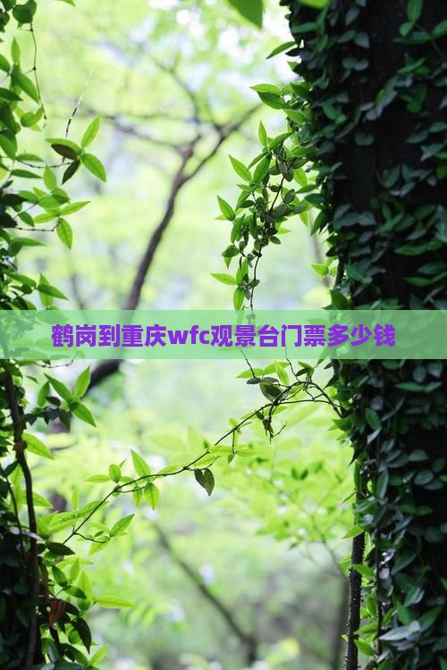 鹤岗到重庆wfc观景台门票
