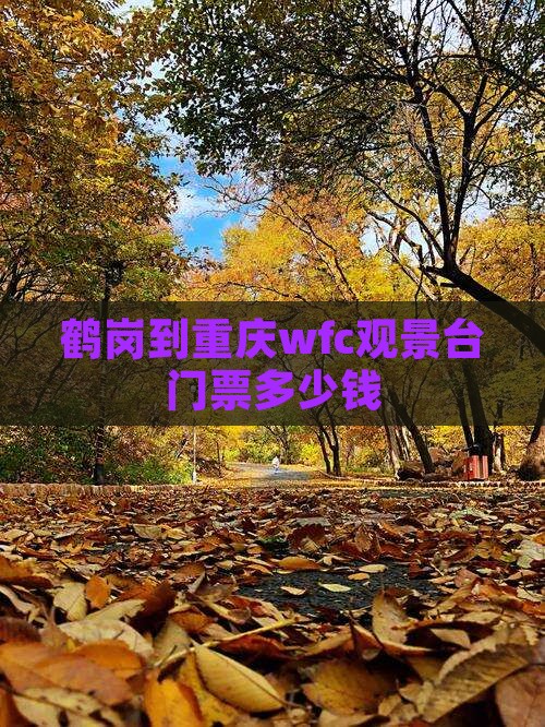 鹤岗到重庆wfc观景台门票