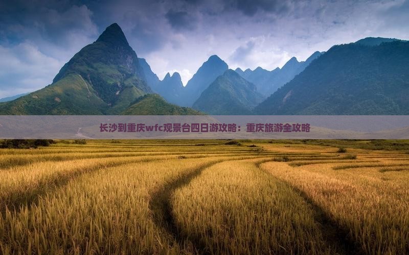 长沙到重庆wfc观景台四日游