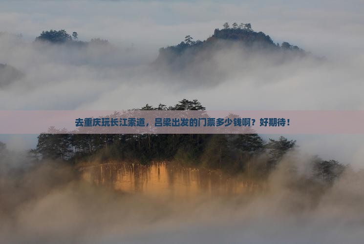 吕梁去重庆长江索道门票