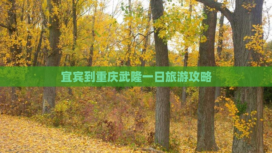 宜宾到重庆武隆一日