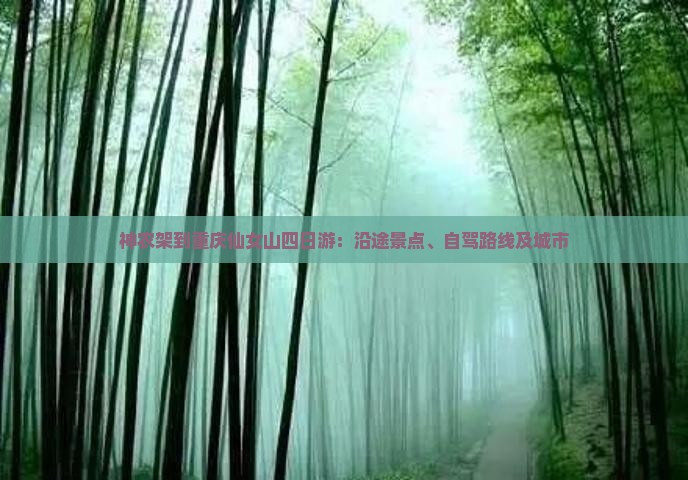 神农架到重庆仙女山四日游