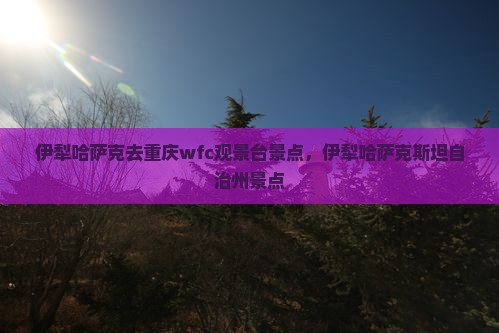 伊犁哈萨克去重庆wfc观景台景点