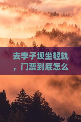 雅安到重庆李子坝轻轨站门票