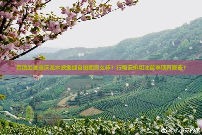 普洱去重庆龙水峡地缝自由团 普洱去重庆龙水峡地缝自由团