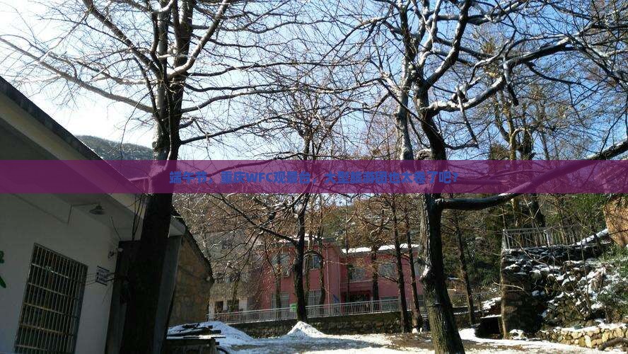 端午节到重庆wfc观景台大型旅游团