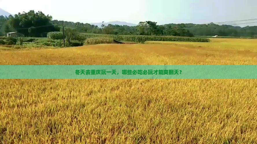 冬天到重庆一日 冬天到重庆一日