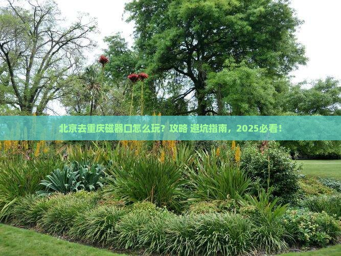 北京去重庆磁器口哪里玩