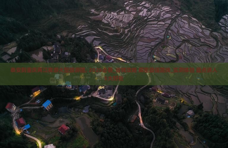 泰安到重庆两江夜游大型旅游团
