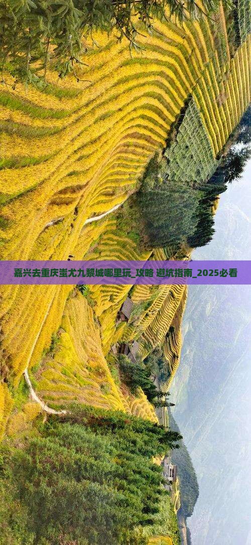 嘉兴去重庆蚩尤九黎城哪里玩