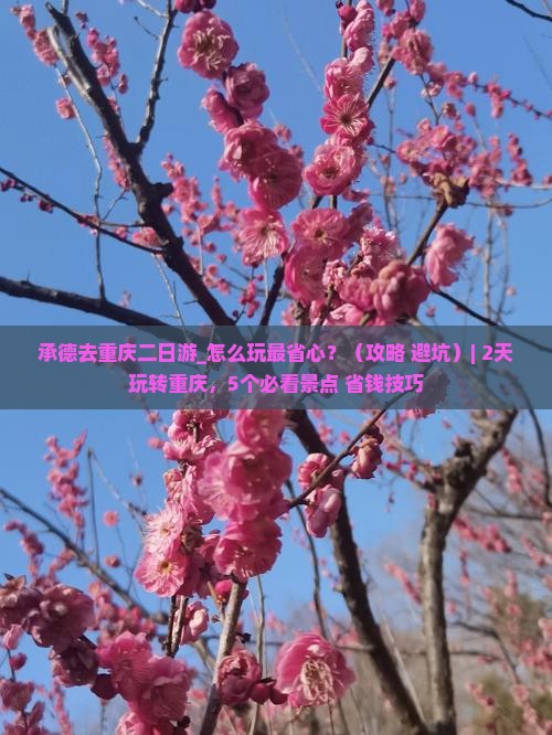 承德去重庆二日游