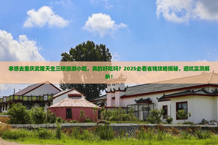 孝感去重庆武隆天生三桥旅游小吃