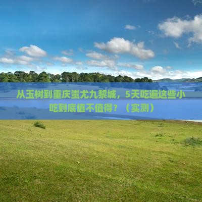 玉树到重庆蚩尤九黎城旅游小吃