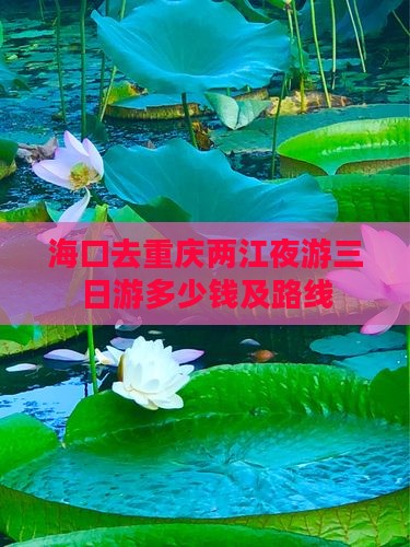 海口去重庆两江夜游三日游