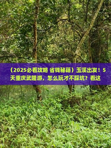 玉溪到重庆武隆五日游
