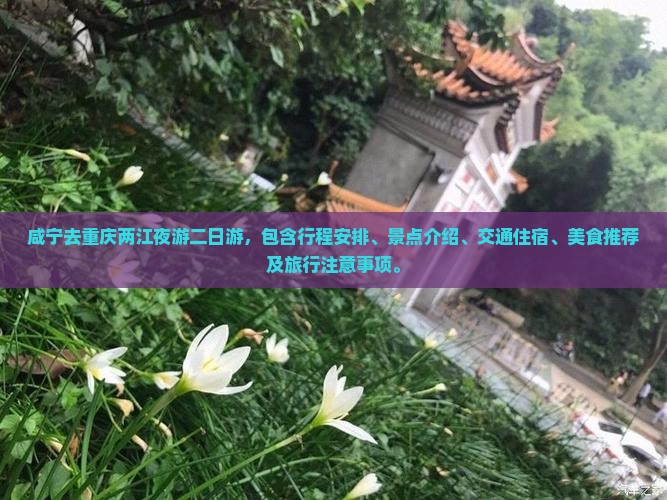 咸宁去重庆两江夜游二日游