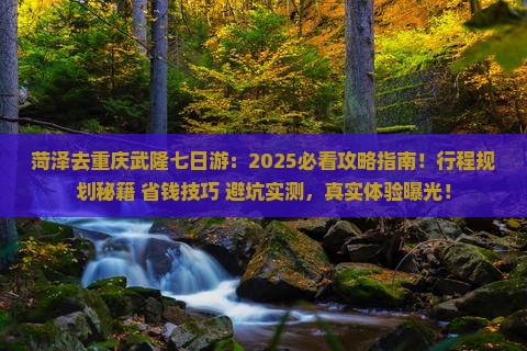菏泽去重庆武隆七日游
