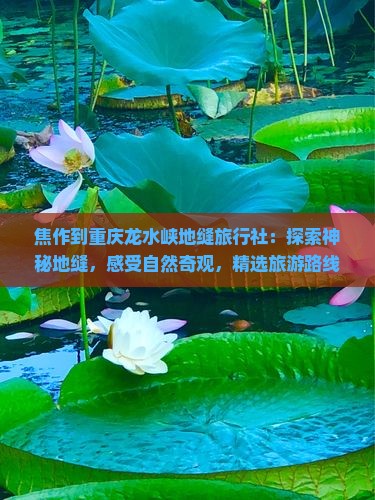 焦作到重庆龙水峡地缝旅行社