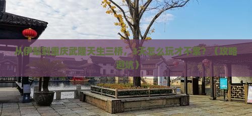 伊犁到重庆武隆天生三桥自由行