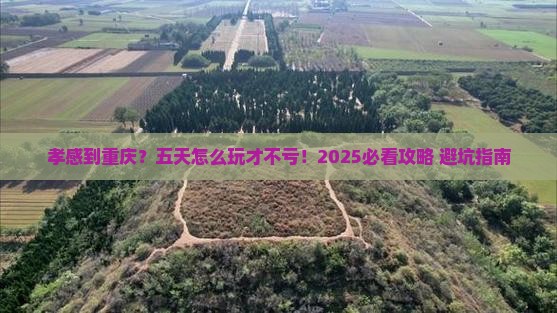 孝感到重庆五日游