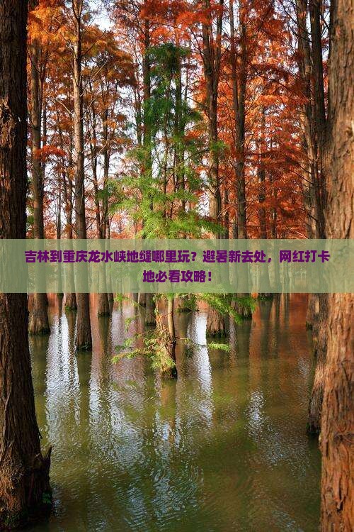 吉林到重庆龙水峡地缝哪里玩