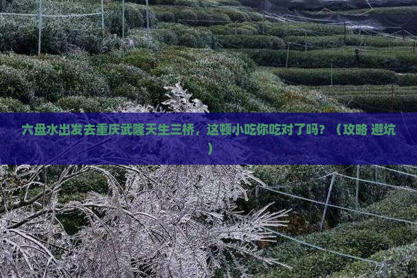 六盘水去重庆武隆天生三桥旅游小吃