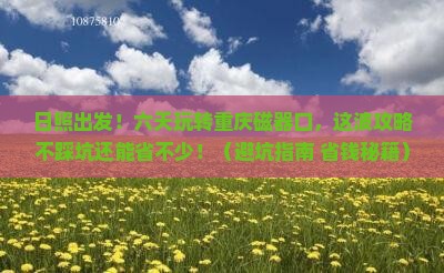 日照到重庆磁器口六日游