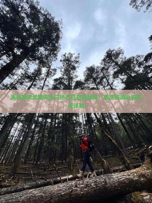 海北去重庆武隆天生三桥五日游
